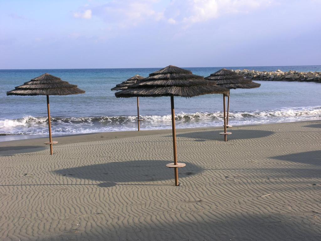 Yiayia's House Limassol city - Housity