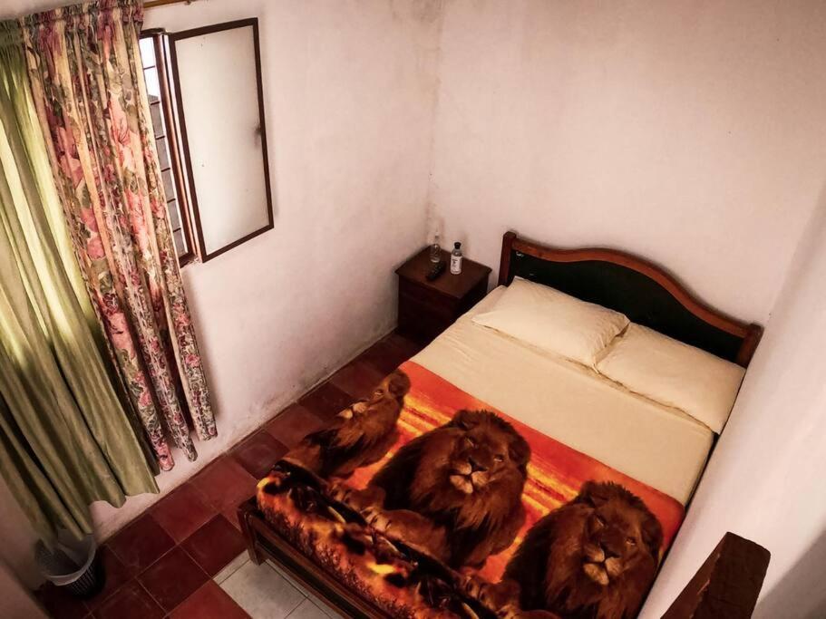 Suitetrails - Hostal Don Belisario