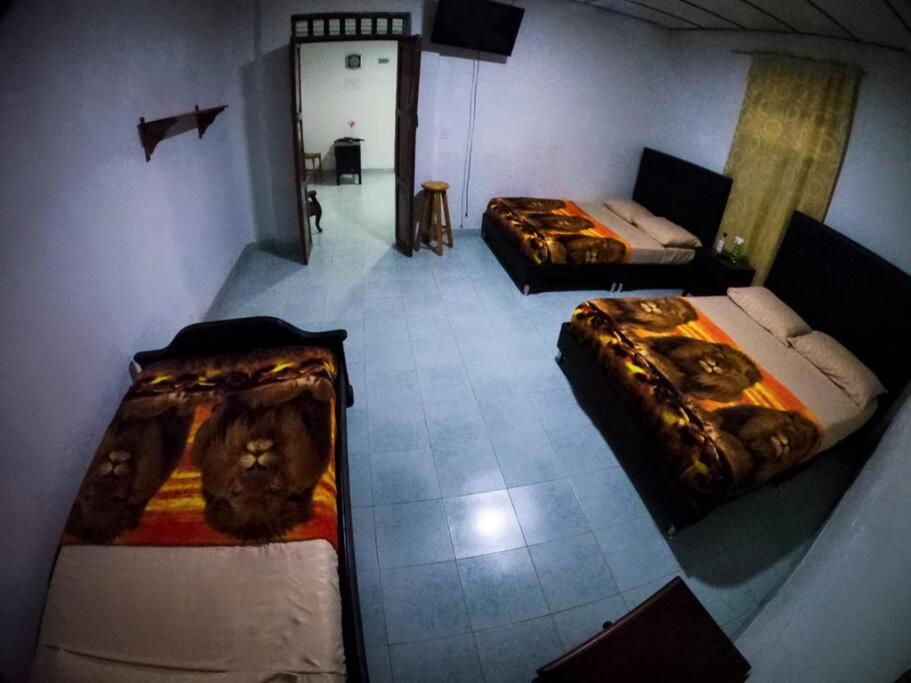 Suitetrails - Hostal Don Belisario
