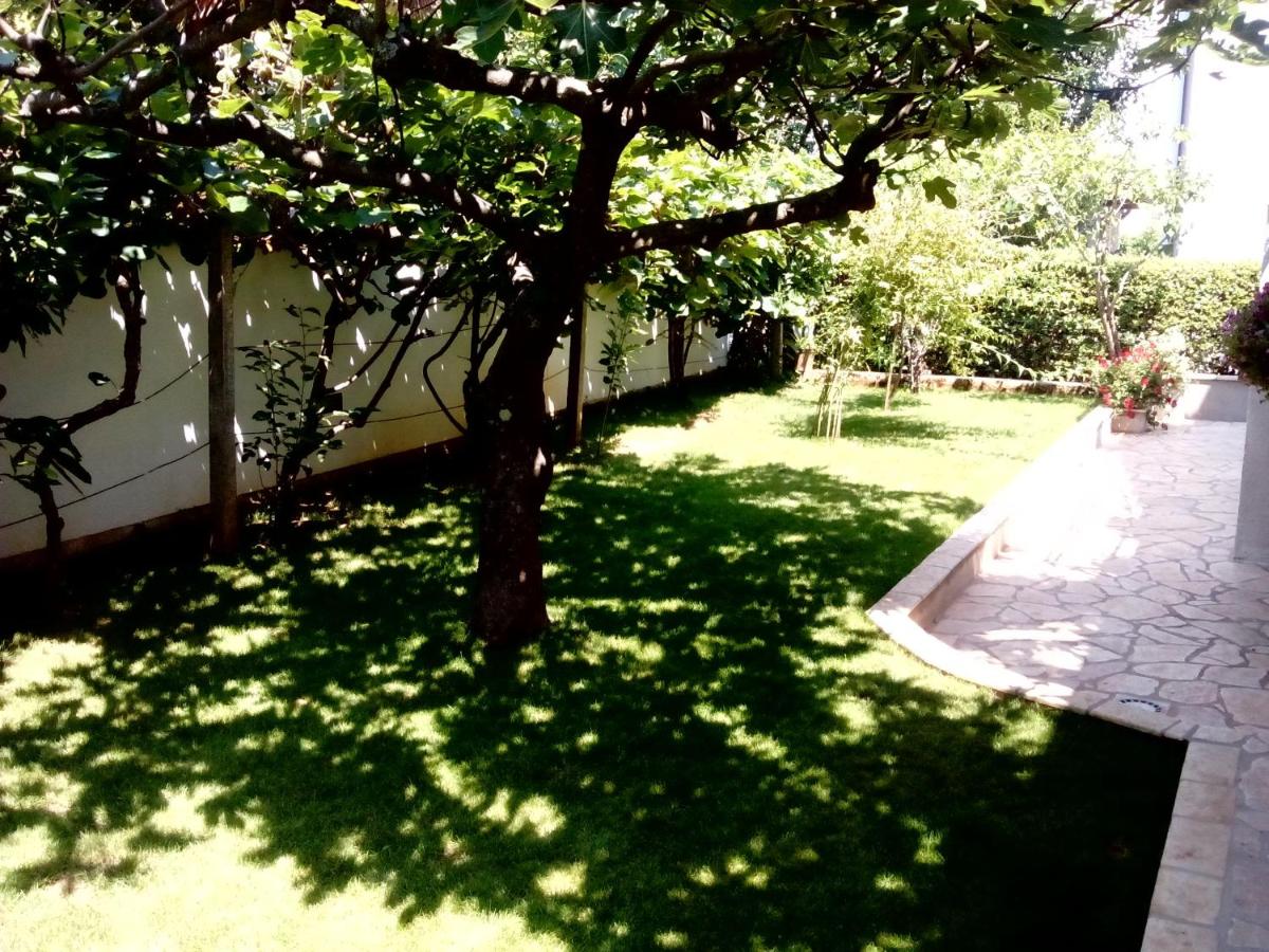 Apartments Peloža - Housity