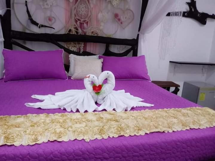 Hotel SARALI - Housity