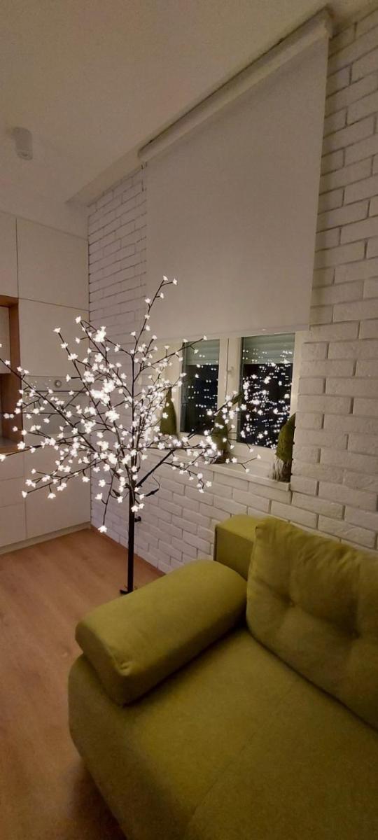 Apartment Ana, Vračar, Belgrade - Housity