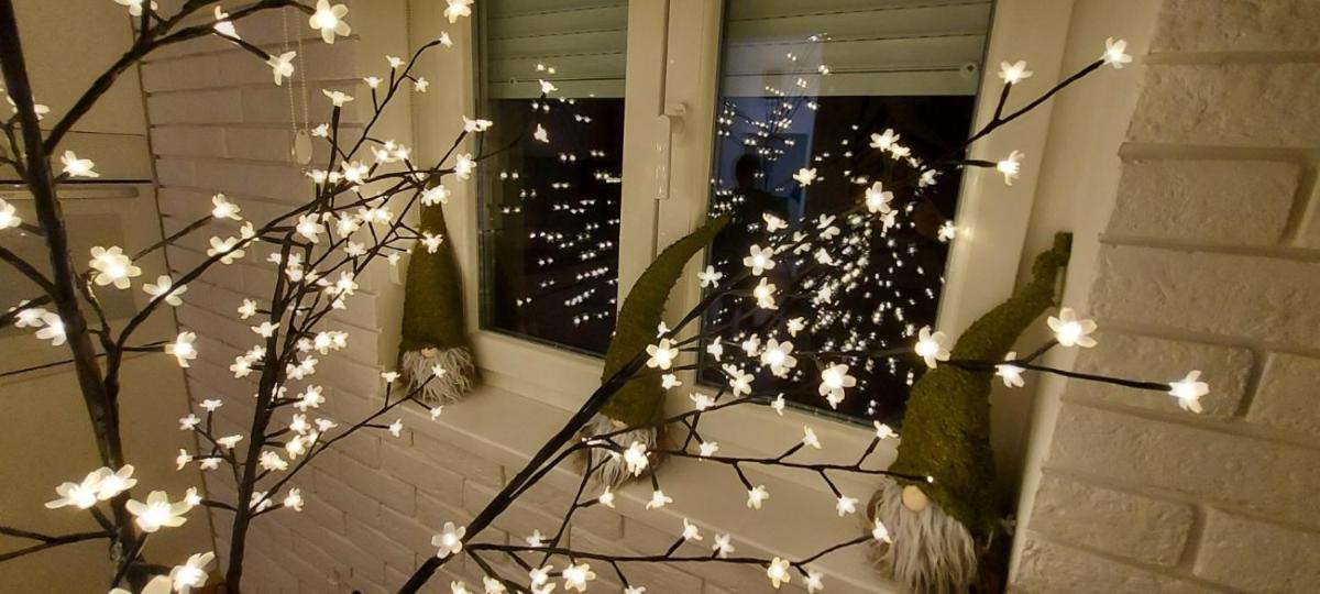 Apartment Ana, Vračar, Belgrade - Housity
