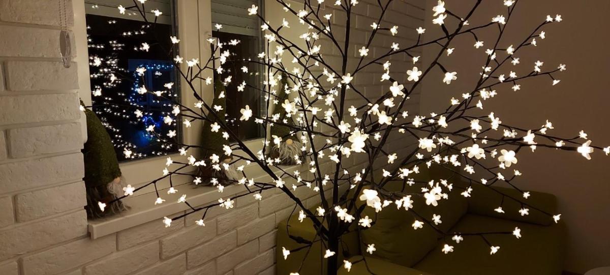 Apartment Ana, Vračar, Belgrade - Housity