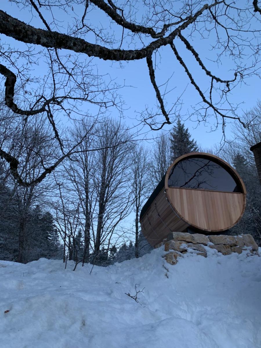 Chalet OTT - apartment in the mountains with sauna - Housity