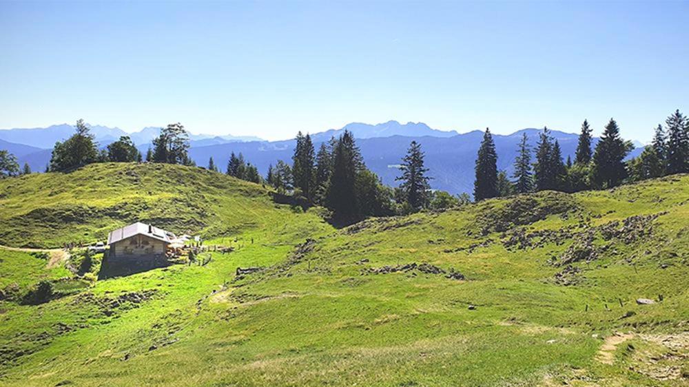 Ferienwohnung Allegra - Housity