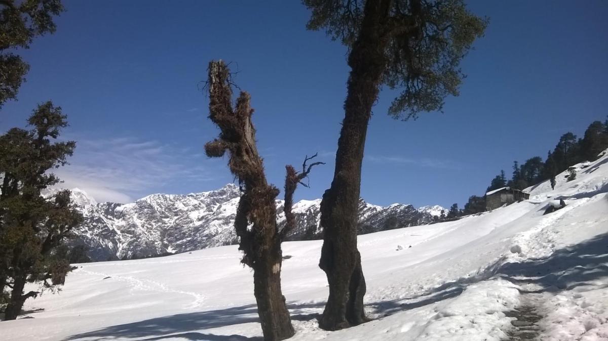 Nag Tibba Camp - Housity