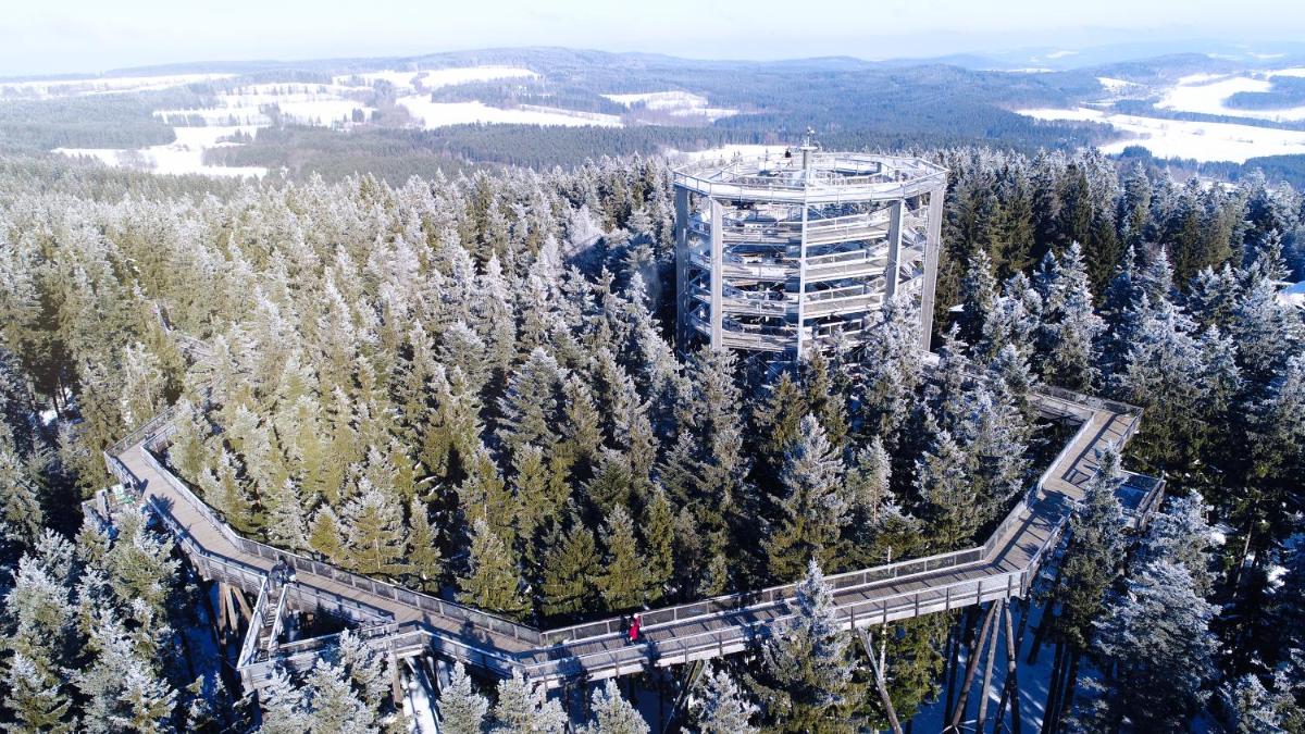 Lipno Riviéra - Myši v botě - Housity