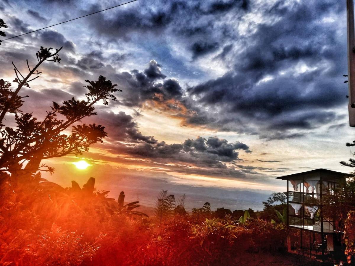 Cristal House Glamping at Villa Migelita Ecolodge - Housity