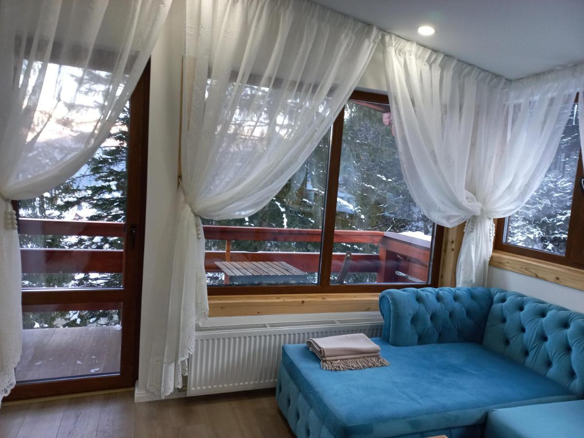 Kalinderu luxury ski loft - Housity