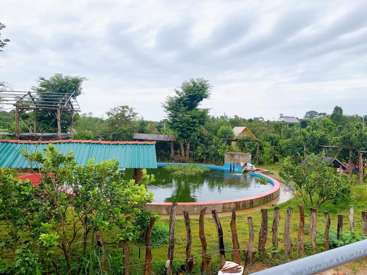 Rice straw Green lodge- resort - Housity