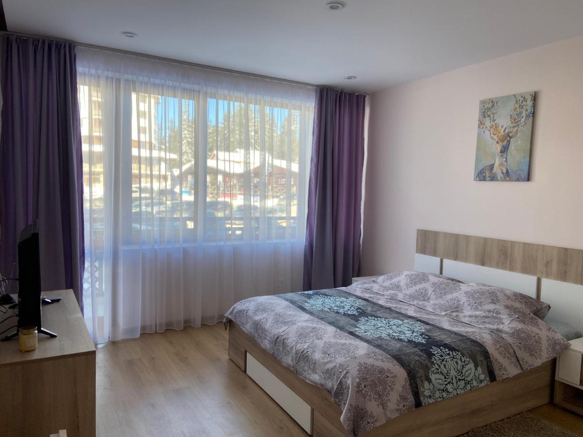 Apartment in Studenets, Pamporovo - Hizvo
