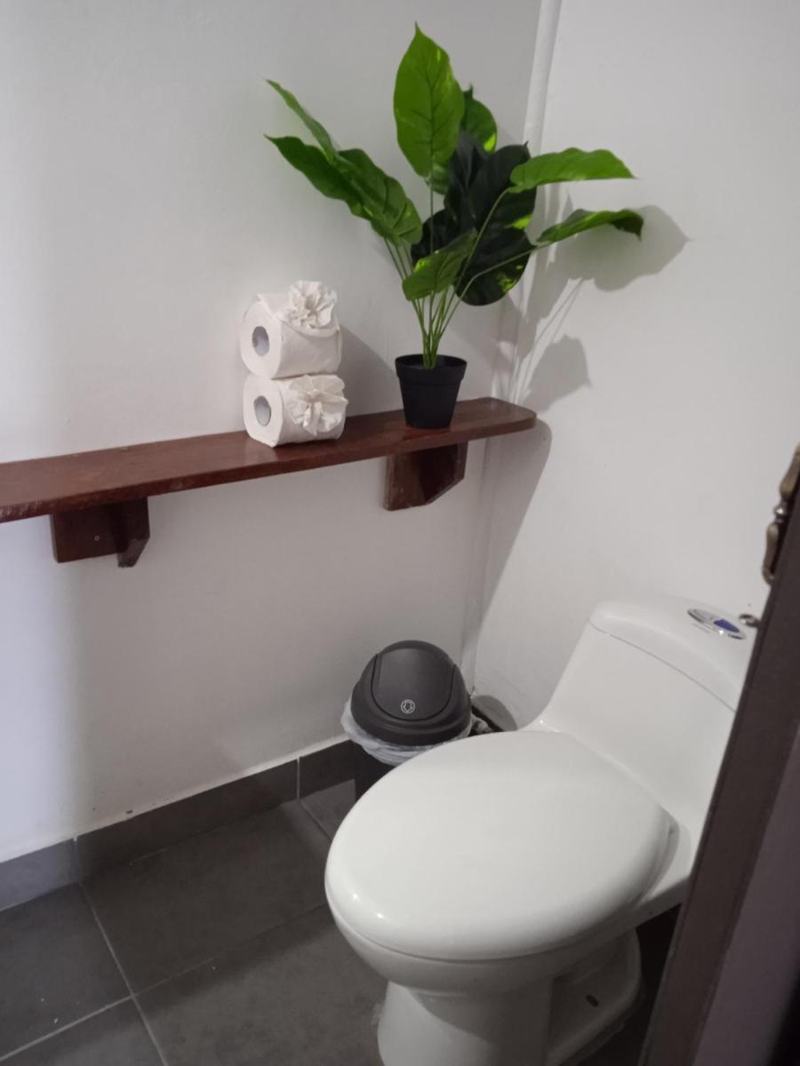 La Casona de Tortuguero - Housity