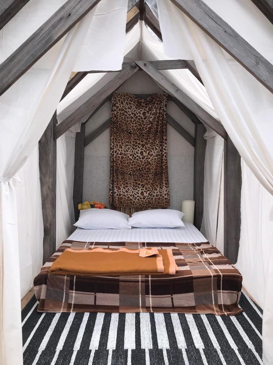 Terre Terrace Glamping - Doichang - Housity