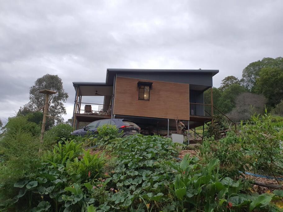 The Tree House And Train - Housity