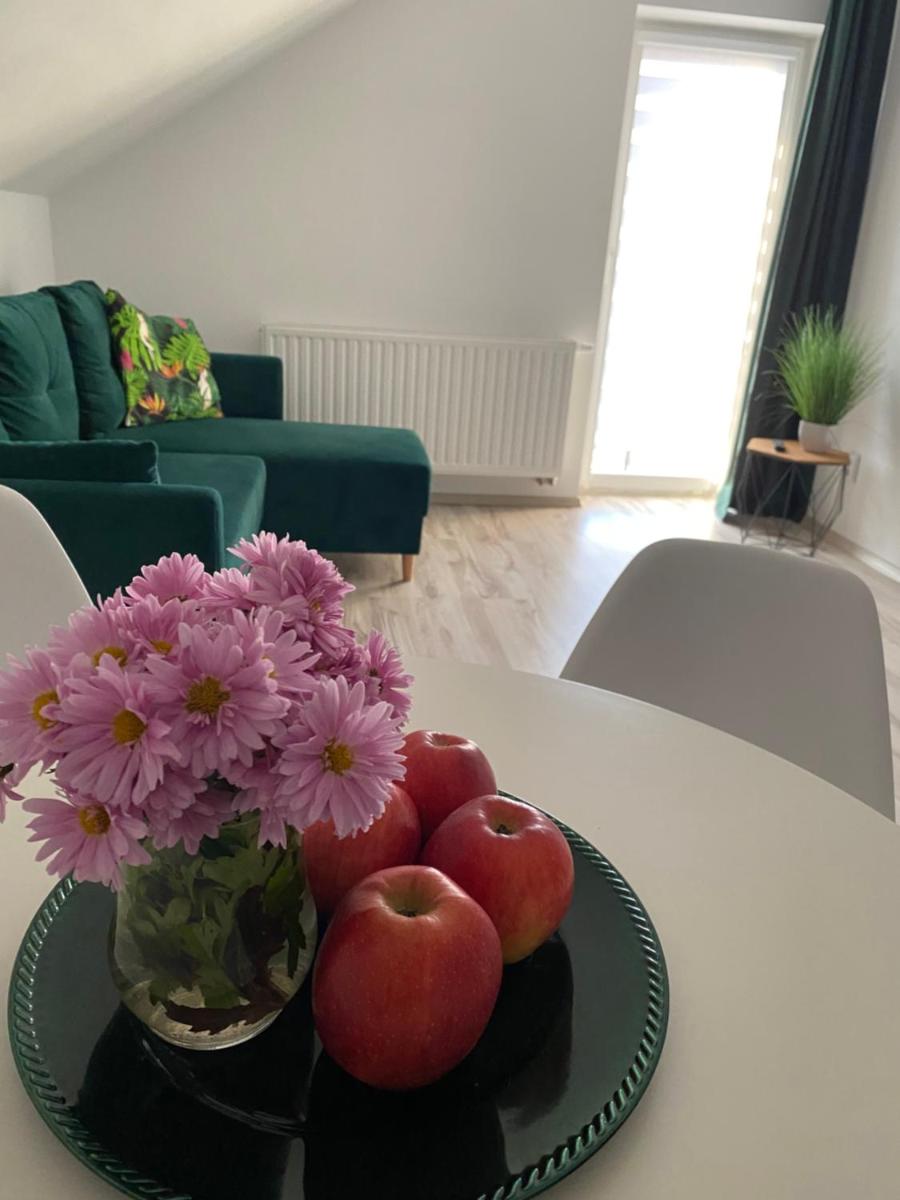 Apartamenty - Pod Wierzbami - Housity