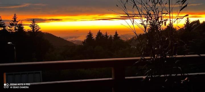 Chalet neuf avec jacuzzi privé, vue imprenable sur Massif des Vosges - Housity