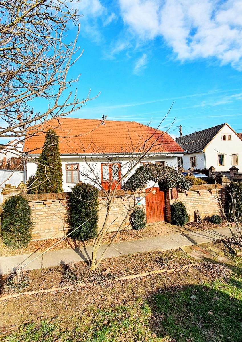 Bogyólak Palkonya - Housity