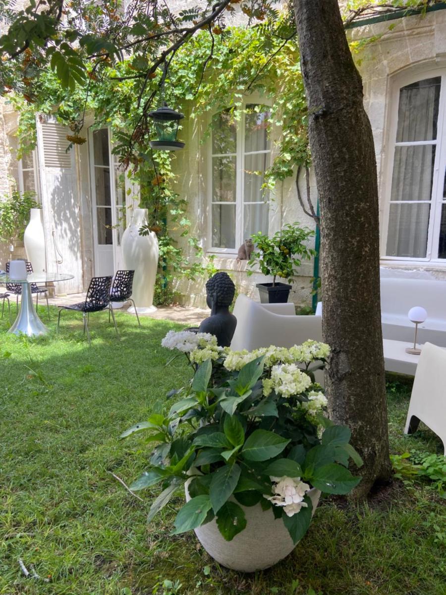 Vieille rose - Housity