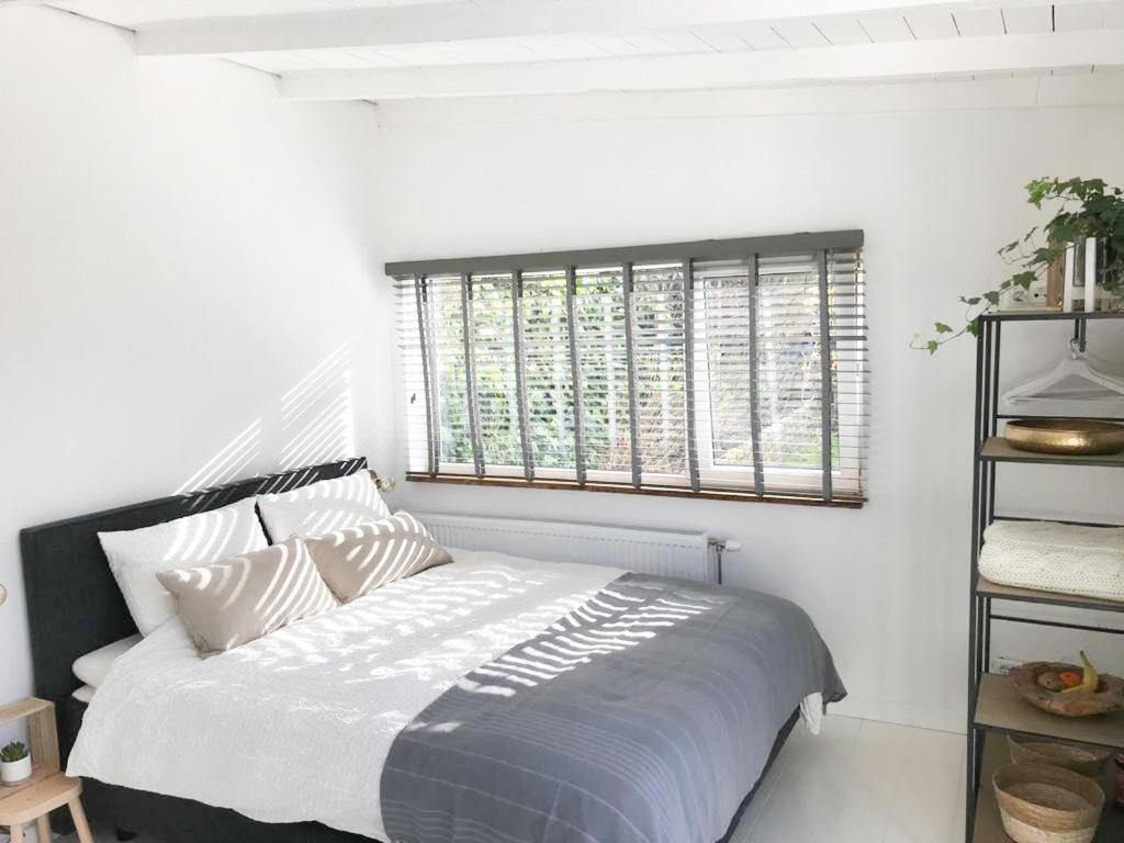 Little Beach House - Housity