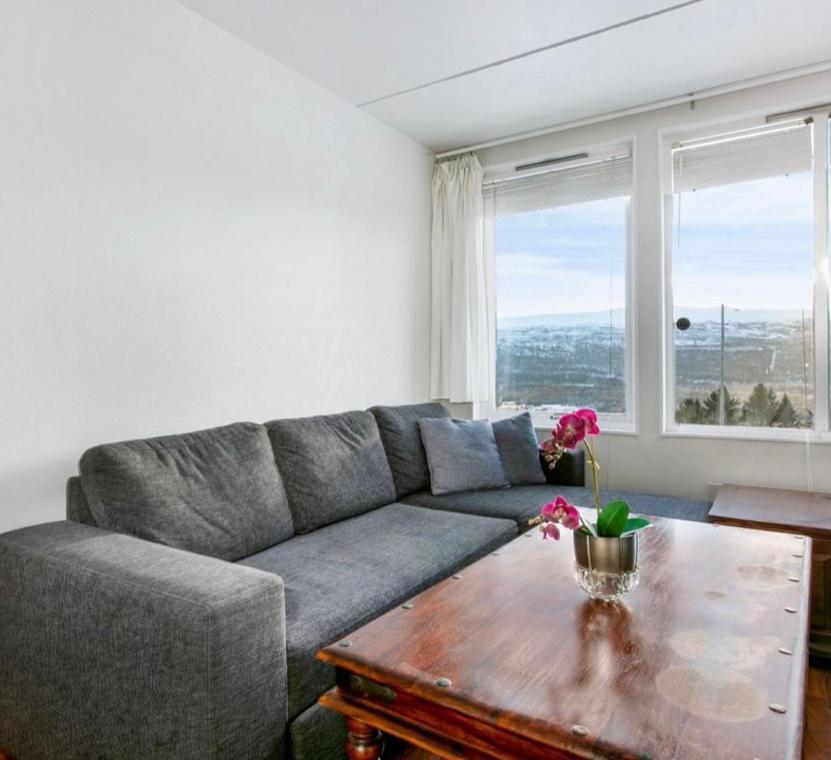 Privat studio leilighet, Oppdal Stølen-skisenter - Housity
