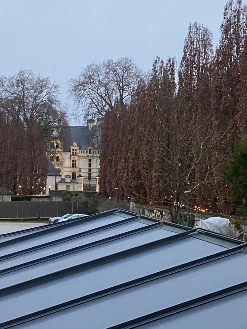 Chez Benjamin - Face au château d'Azay-le-Rideau - Housity