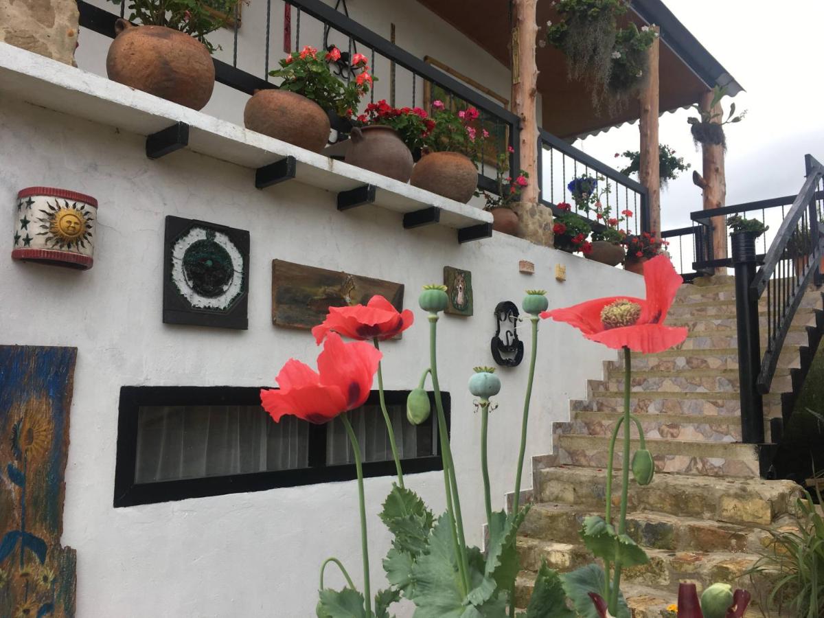 Finca Renacer - Housity