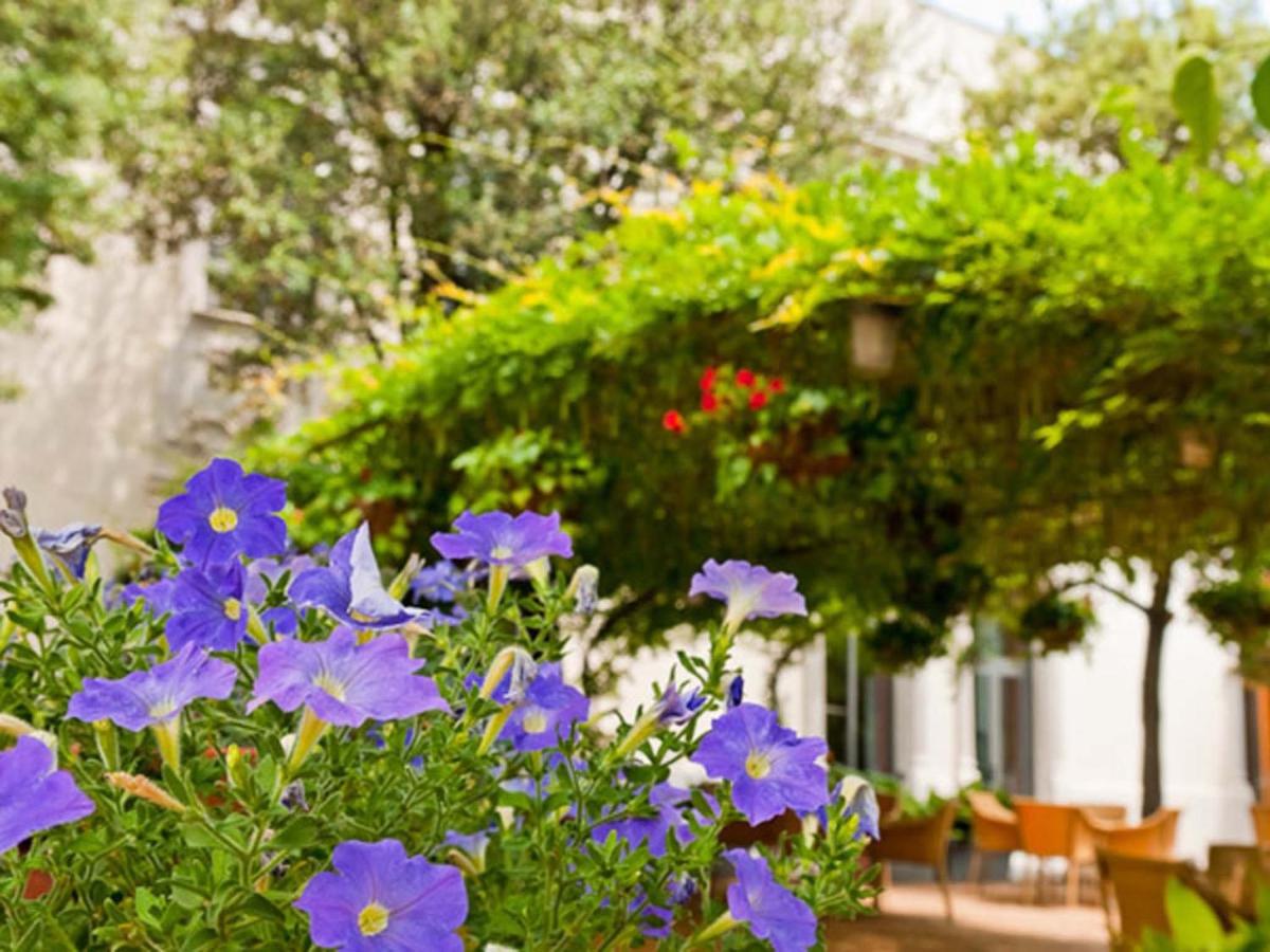 Jardín al aire libre en Hotel Balneario Prats