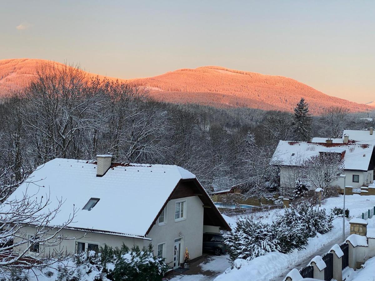 Apartmán pod lesem - Housity