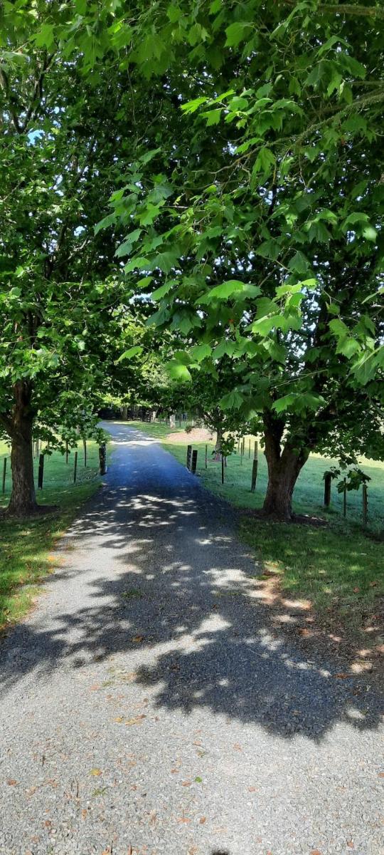 Suitetrails - Tui Glade Bed and Breakfast