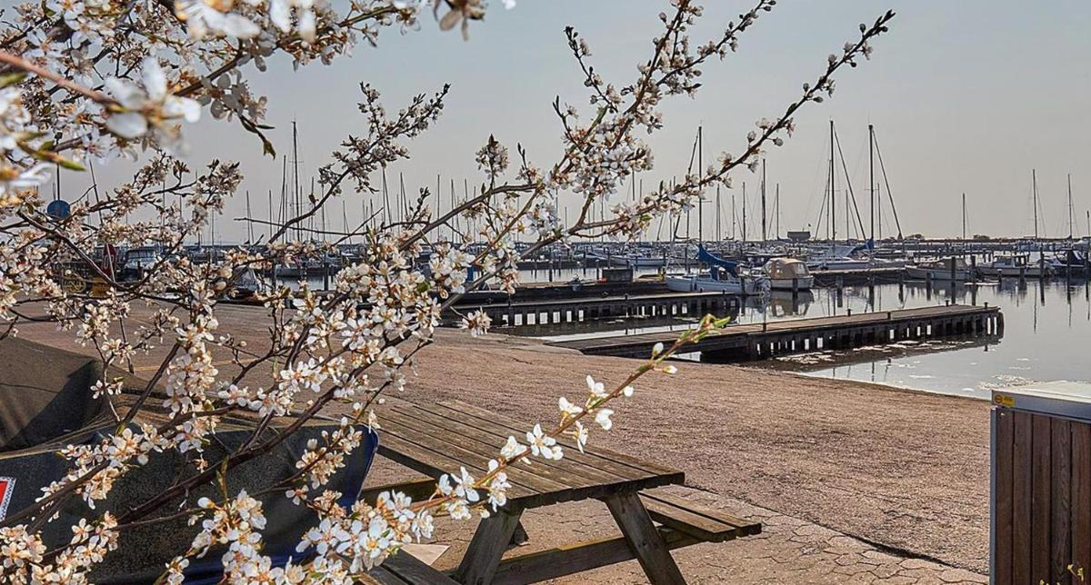 Hus m gaard have, 25m fra havet, havn, Strand, High speet internet, restauranter - Housity