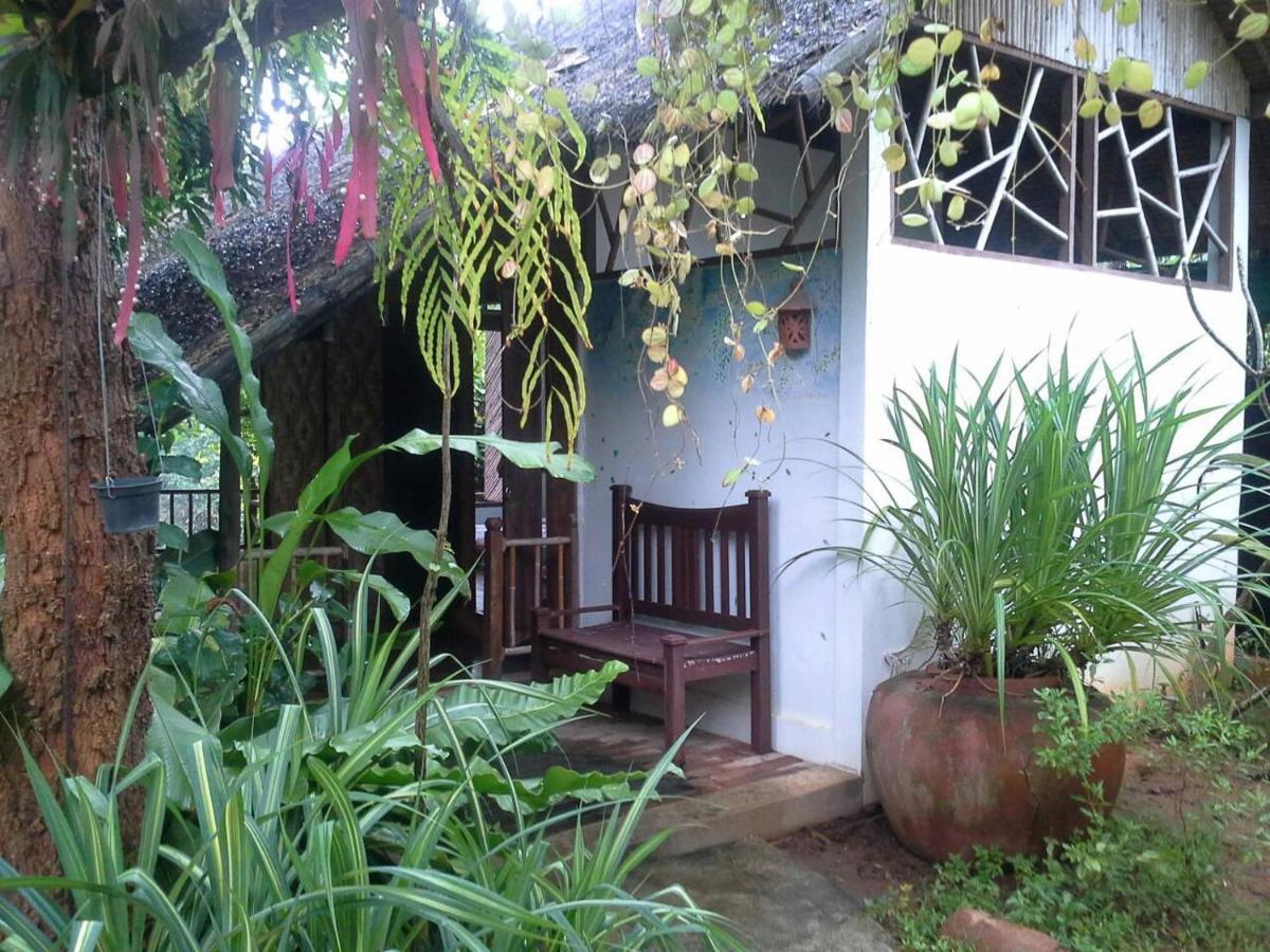 Banpainamhomestay - Housity