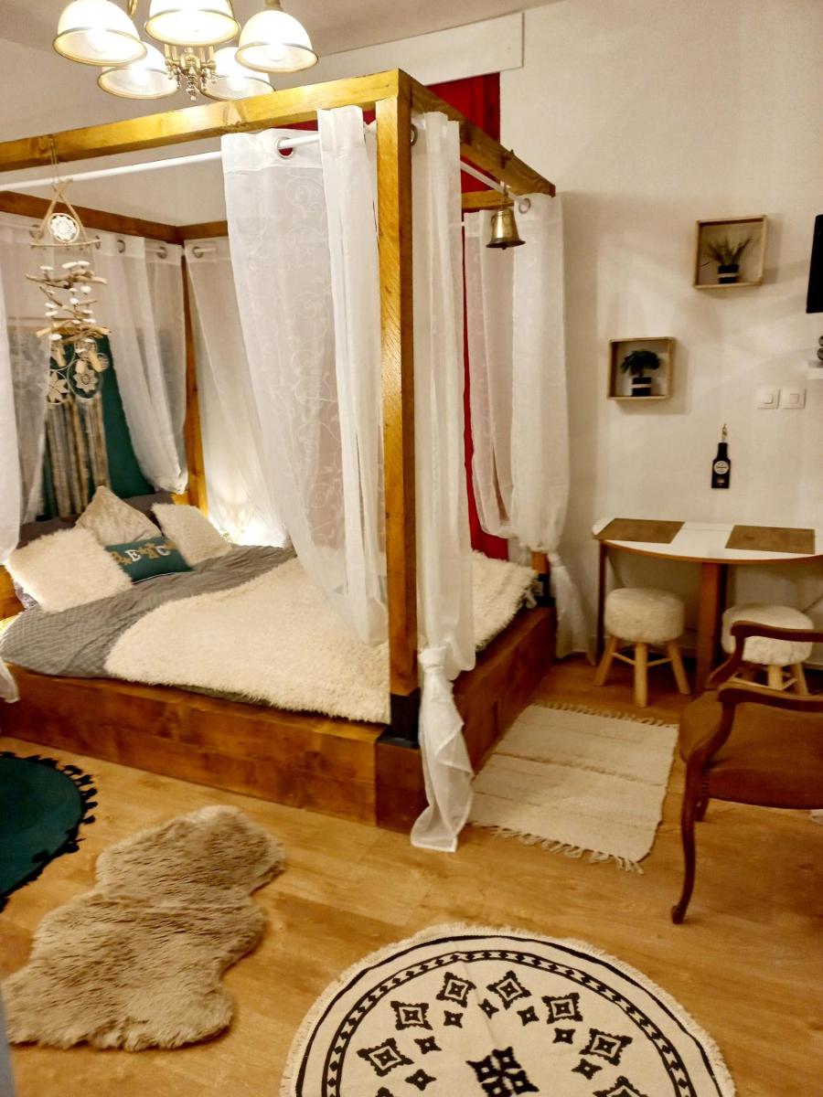 STUDIO DU VOYAGE GARE D AURAY - Housity