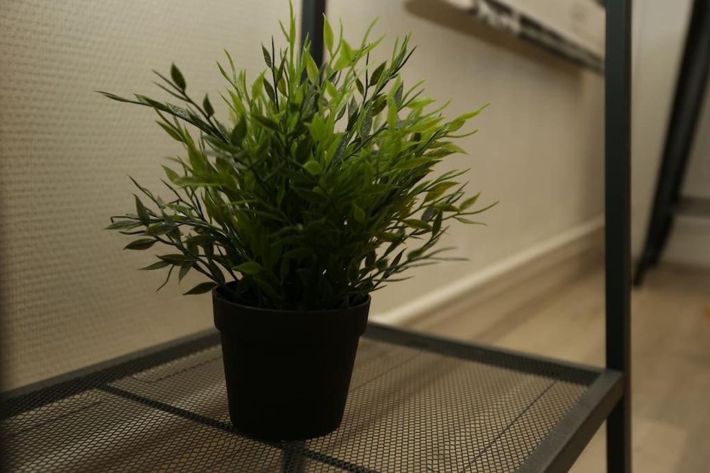 Loft Indus - Housity