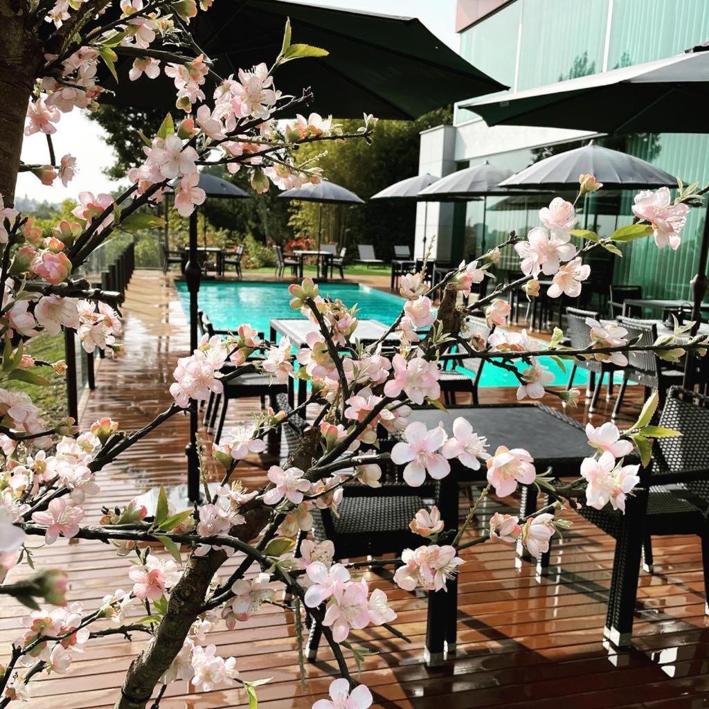 A piscina em ou perto de Penafiel Park Hotel & Spa