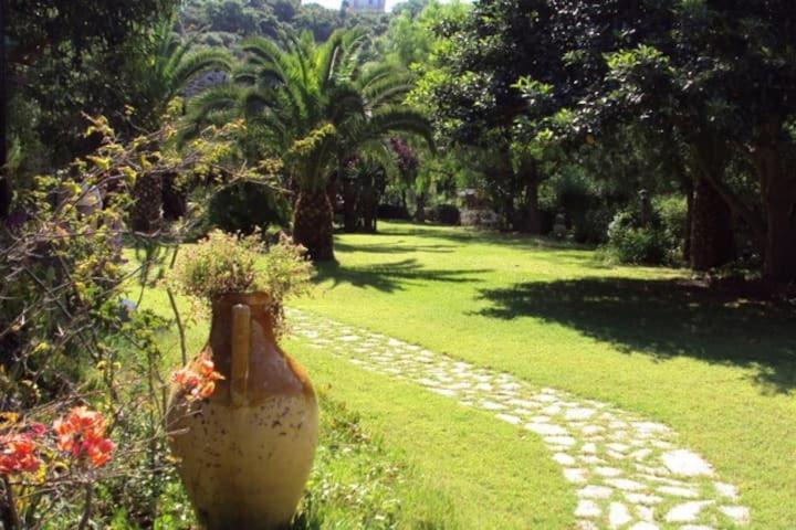 Suitetrails - Villa Storica tra gli ulivi - vista mare