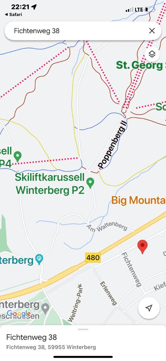 Am Skihang Erlebniskappe Winterberg im Fichtenweg - Housity