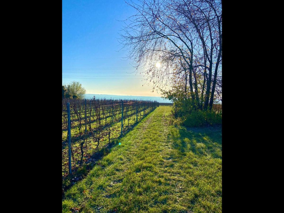 Ferienwohnung Rheingau - Housity