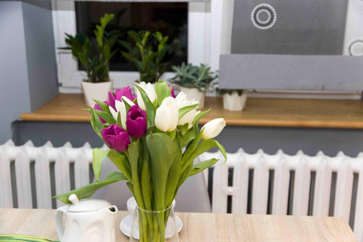 Apartament Grapa - Housity