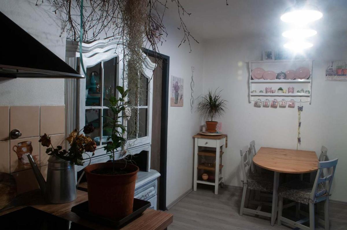 Danova chata - Housity