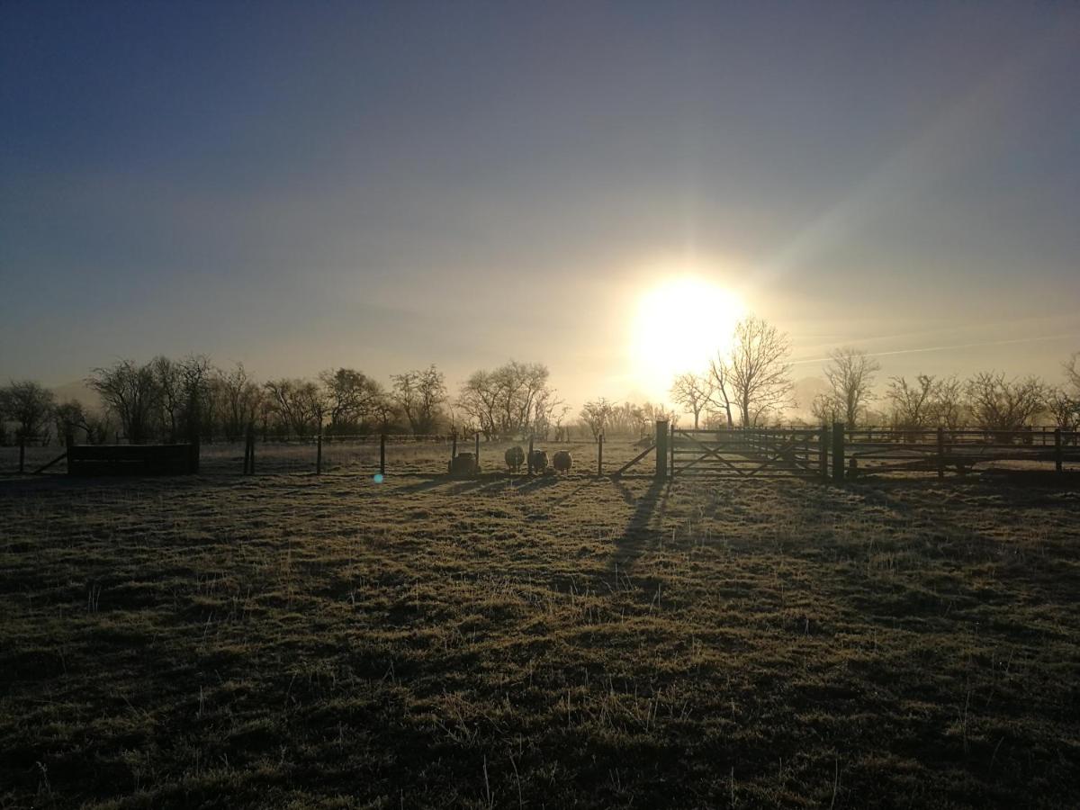 Sunny Mount Glamping Pod - Housity