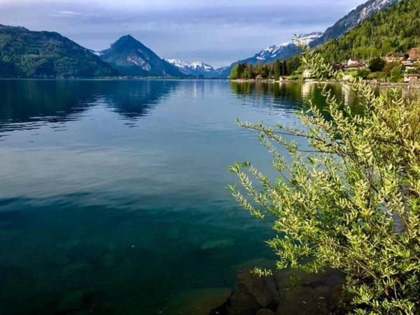 Privatzimmer am Thunersee - Housity