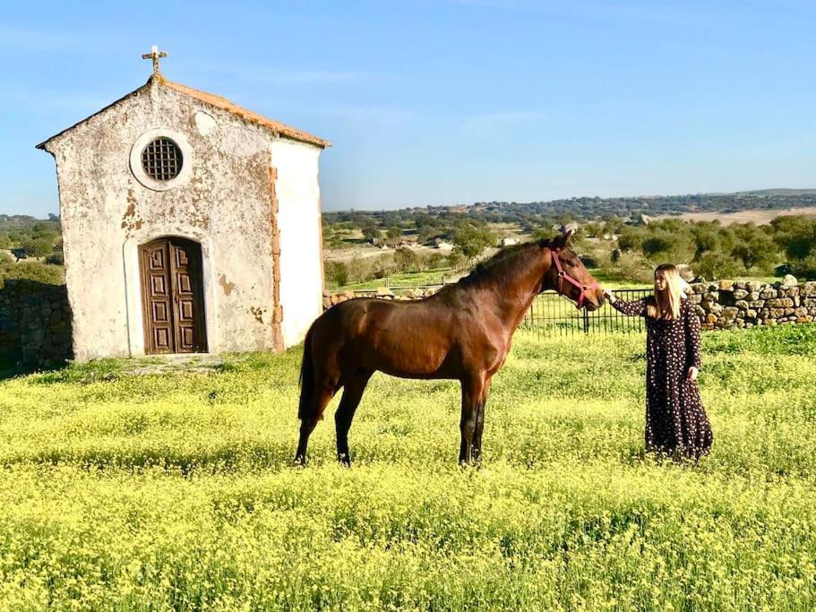Zambujal Horses & Nature. House t1. Alentejo. Arronches. - Housity