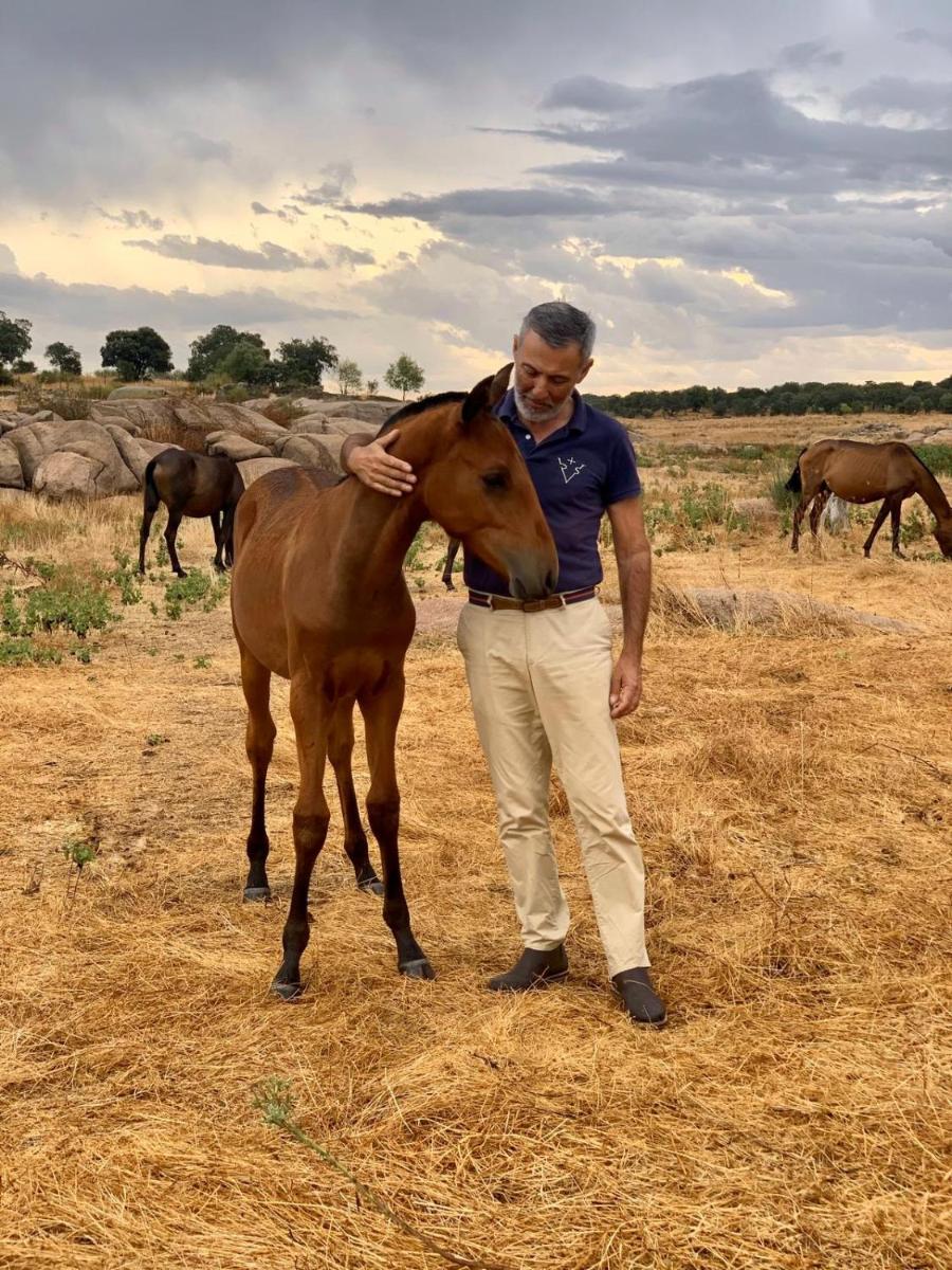 Zambujal Horses & Nature. House t1. Alentejo. Arronches. - Housity