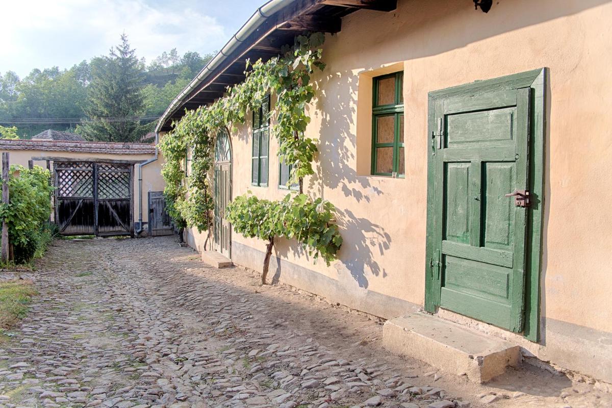 Experience Transylvania Mălâncrav 335 - Housity