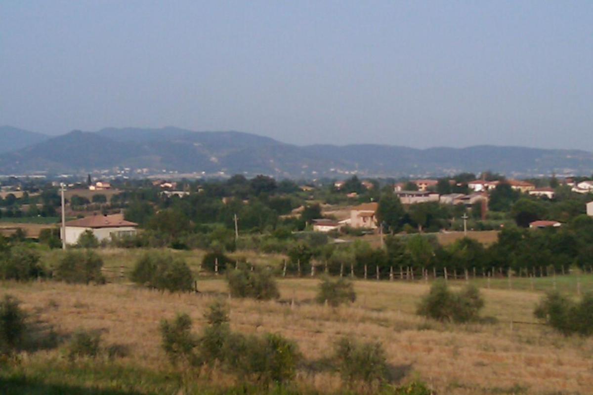 Montecchio di Cortona - Housity