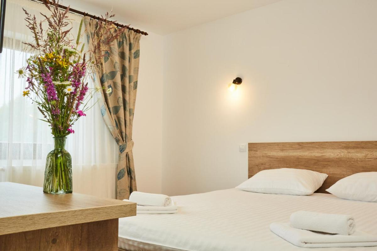 Pensiunea Piemont - Housity