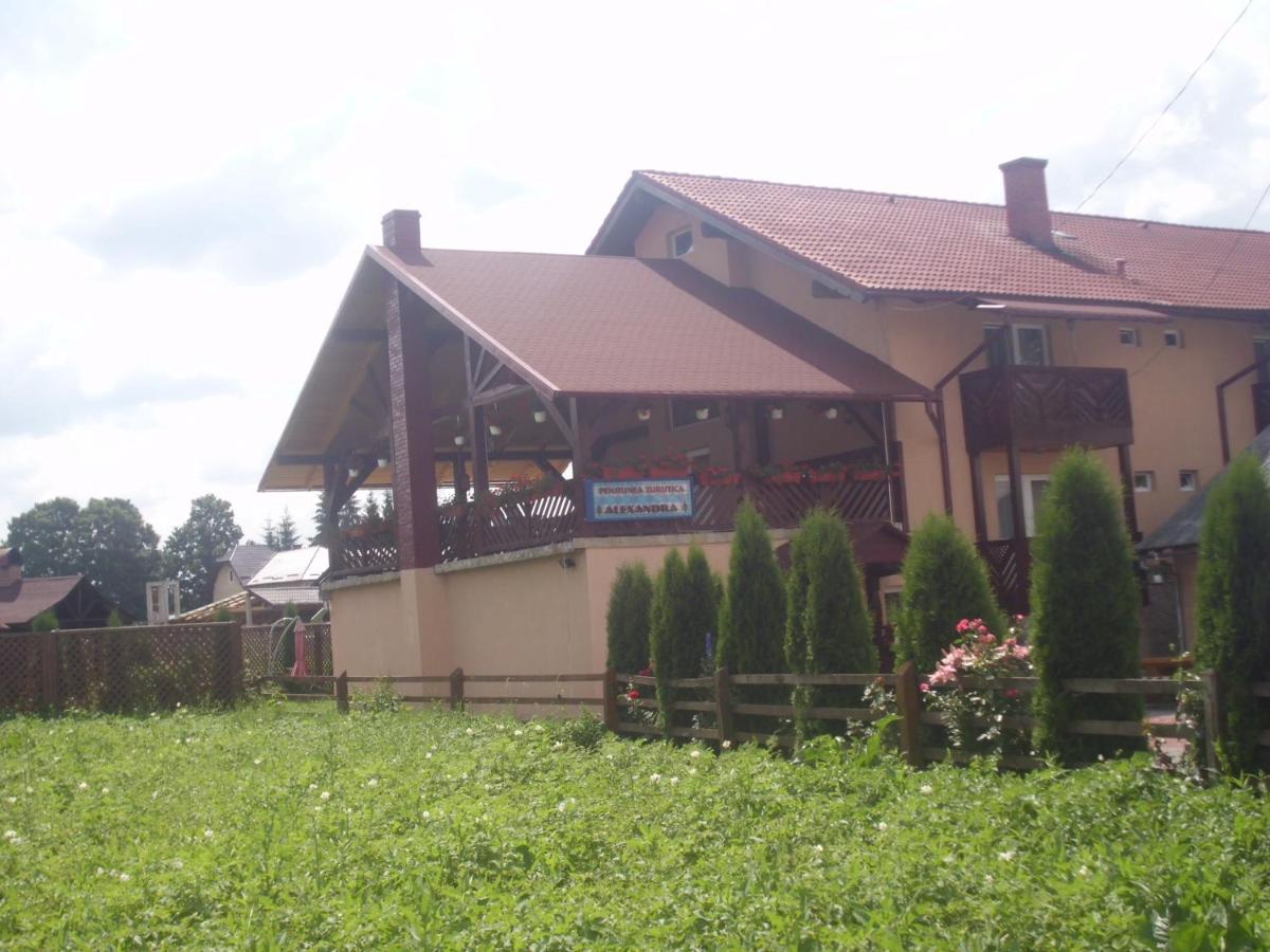 Pensiunea Alexandra - Housity