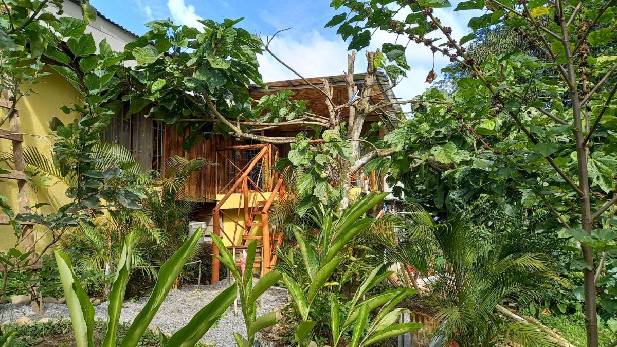 Cacao Lodge and Tours - Housity
