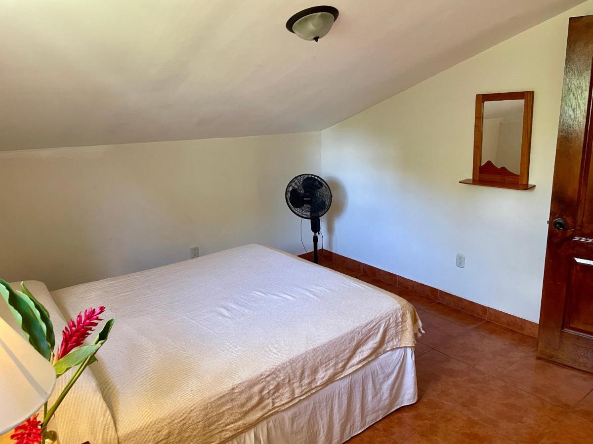 Casa Girasol Bed & Breakfast + Tours - Housity